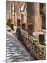 A View of Herculaneum Archaeological Site, Herculaneum Ruins, Near Naples, Campania, Italy-Miva Stock-Mounted Photographic Print