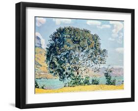 A View of Lake Brienz from Bodeli-Ferdinand Hodler-Framed Giclee Print