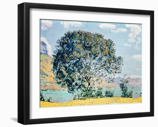 A View of Lake Brienz from Bodeli-Ferdinand Hodler-Framed Giclee Print