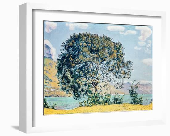 A View of Lake Brienz from Bodeli-Ferdinand Hodler-Framed Giclee Print