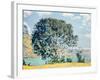 A View of Lake Brienz from Bodeli-Ferdinand Hodler-Framed Giclee Print