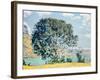 A View of Lake Brienz from Bodeli-Ferdinand Hodler-Framed Giclee Print