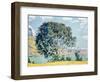 A View of Lake Brienz from Bodeli-Ferdinand Hodler-Framed Giclee Print