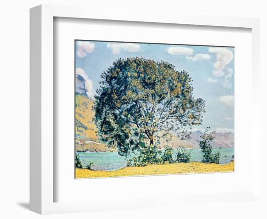 A View of Lake Brienz from Bodeli-Ferdinand Hodler-Framed Giclee Print