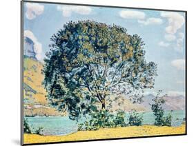 A View of Lake Brienz from Bodeli-Ferdinand Hodler-Mounted Giclee Print