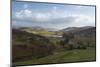 A view of Little Langdale, Lake District National Park, Cumbria, England, United Kingdom, Europe-Jon Gibbs-Mounted Photographic Print