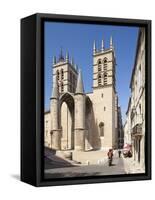 A View of Montpellier Cathedral, Montpellier, Languedoc-Roussillon, France, Europe-David Clapp-Framed Stretched Canvas