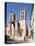 A View of Montpellier Cathedral, Montpellier, Languedoc-Roussillon, France, Europe-David Clapp-Stretched Canvas