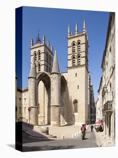 A View of Montpellier Cathedral, Montpellier, Languedoc-Roussillon, France, Europe-David Clapp-Stretched Canvas