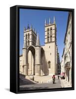 A View of Montpellier Cathedral, Montpellier, Languedoc-Roussillon, France, Europe-David Clapp-Framed Stretched Canvas