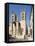 A View of Montpellier Cathedral, Montpellier, Languedoc-Roussillon, France, Europe-David Clapp-Framed Stretched Canvas