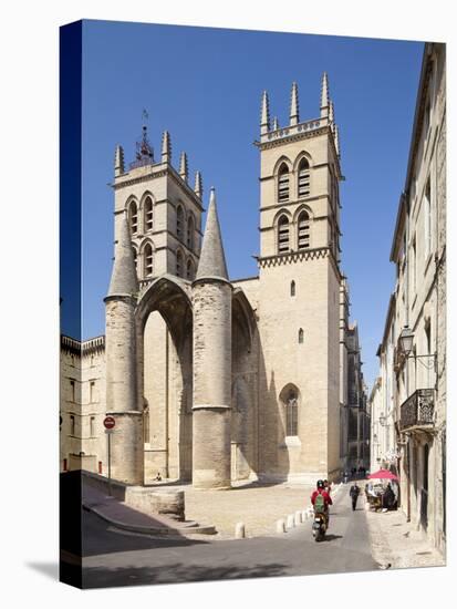 A View of Montpellier Cathedral, Montpellier, Languedoc-Roussillon, France, Europe-David Clapp-Stretched Canvas