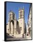 A View of Montpellier Cathedral, Montpellier, Languedoc-Roussillon, France, Europe-David Clapp-Framed Stretched Canvas