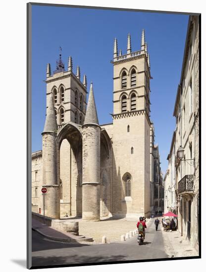 A View of Montpellier Cathedral, Montpellier, Languedoc-Roussillon, France, Europe-David Clapp-Mounted Photographic Print