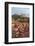 A view of Sedona in Arizona, USA-Natalie Tepper-Framed Photo