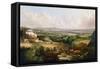 A View of Sheffield from Psalter Lane, C.1850-J. McIntyre-Framed Stretched Canvas