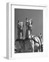 A View of the Army Remount Service's Parade of Horses-null-Framed Photographic Print