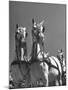 A View of the Army Remount Service's Parade of Horses-null-Mounted Photographic Print