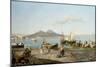 A view of the Bay of Naples-Giuseppe Carelli-Mounted Giclee Print