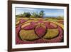 A View of the Botanical Gardens-Michael Nolan-Framed Photographic Print