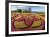 A View of the Botanical Gardens-Michael Nolan-Framed Photographic Print