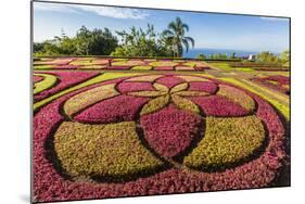 A View of the Botanical Gardens-Michael Nolan-Mounted Photographic Print