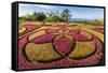 A View of the Botanical Gardens-Michael Nolan-Framed Stretched Canvas