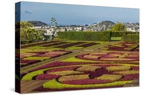 A View of the Botanical Gardens-Michael Nolan-Stretched Canvas