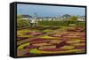 A View of the Botanical Gardens-Michael Nolan-Framed Stretched Canvas