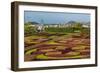 A View of the Botanical Gardens-Michael Nolan-Framed Photographic Print