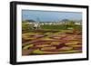A View of the Botanical Gardens-Michael Nolan-Framed Photographic Print