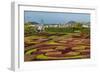 A View of the Botanical Gardens-Michael Nolan-Framed Photographic Print