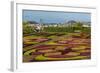 A View of the Botanical Gardens-Michael Nolan-Framed Photographic Print