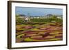 A View of the Botanical Gardens-Michael Nolan-Framed Photographic Print