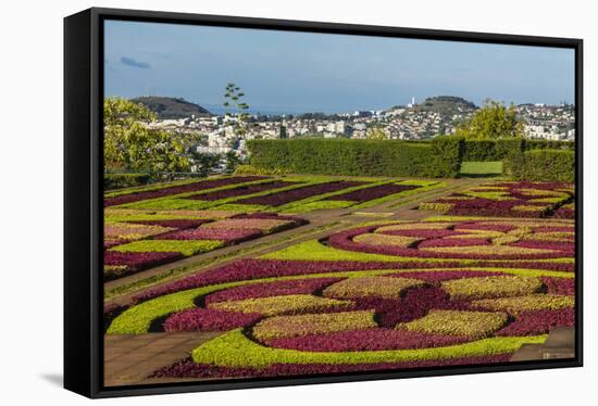 A View of the Botanical Gardens-Michael Nolan-Framed Stretched Canvas