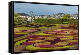 A View of the Botanical Gardens-Michael Nolan-Framed Stretched Canvas