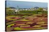 A View of the Botanical Gardens-Michael Nolan-Stretched Canvas