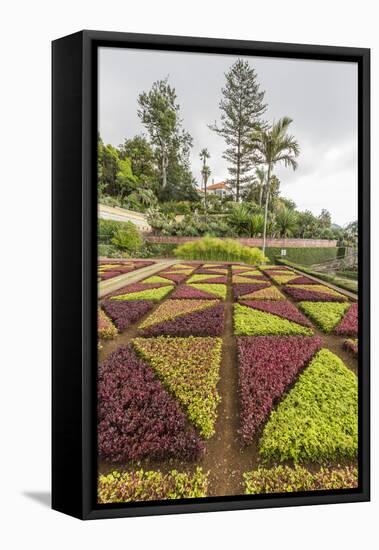 A View of the Botanical Gardens-Michael Nolan-Framed Stretched Canvas