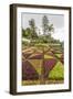 A View of the Botanical Gardens-Michael Nolan-Framed Photographic Print