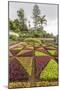 A View of the Botanical Gardens-Michael Nolan-Mounted Photographic Print