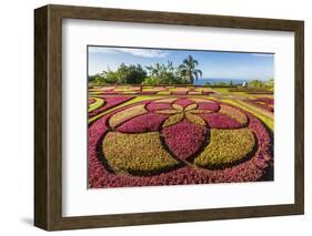 A View of the Botanical Gardens-Michael Nolan-Framed Photographic Print