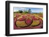 A View of the Botanical Gardens-Michael Nolan-Framed Photographic Print