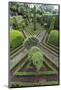 A View of the Botanical Gardens-Michael Nolan-Mounted Photographic Print