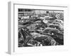 A View of the Cadillac Motors Production Line-null-Framed Photographic Print