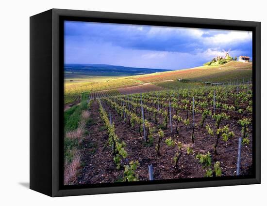 A View of the Champagne Vineyards-null-Framed Stretched Canvas