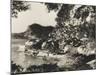 A View of the Coastal Town of St George's, Grenada, British West Indies-null-Mounted Photographic Print