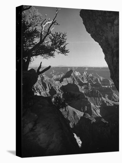 A View of the Grand Canyon National Park-null-Stretched Canvas