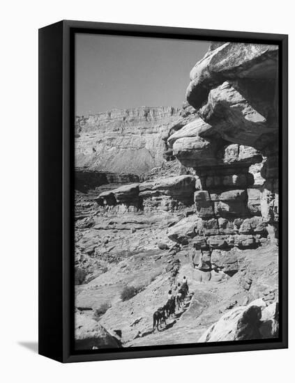 A View of the Grand Canyon National Park-null-Framed Stretched Canvas