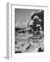 A View of the Grand Canyon National Park-null-Framed Photographic Print