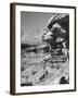 A View of the Grand Canyon National Park-null-Framed Photographic Print